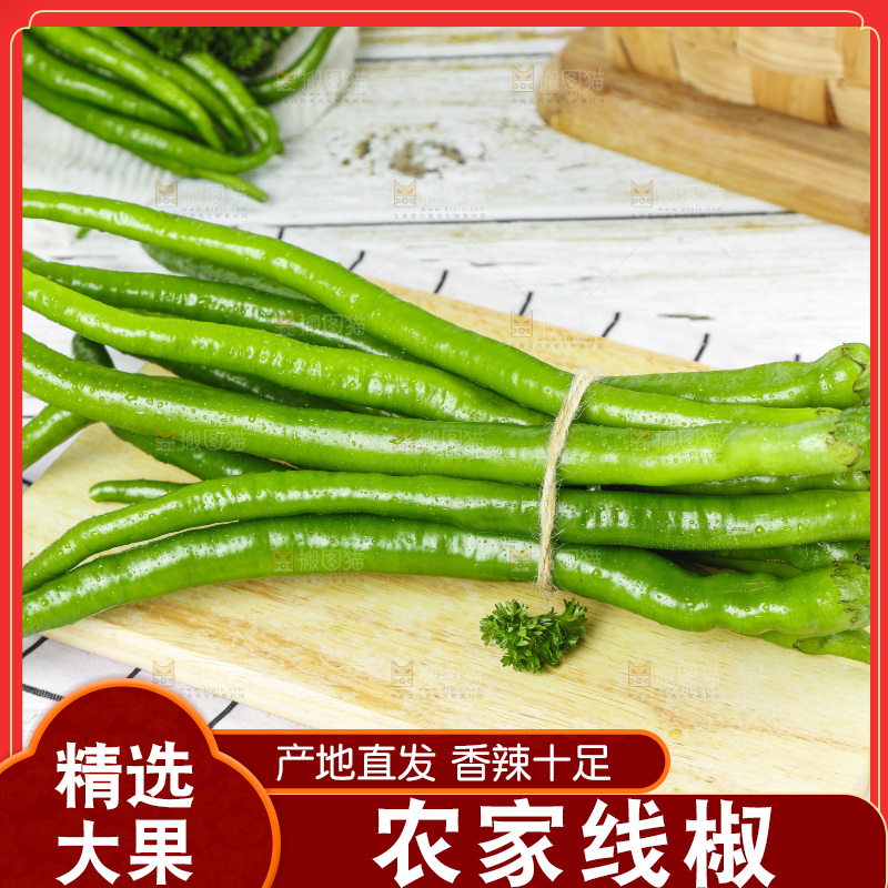 线椒