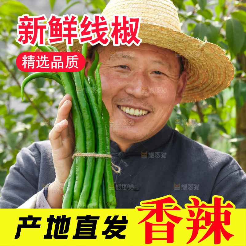 线椒