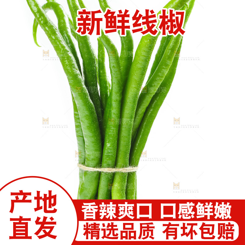 线椒