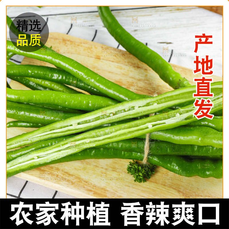 线椒
