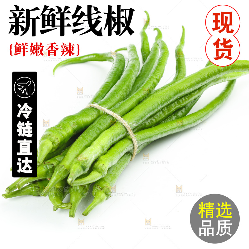 线椒