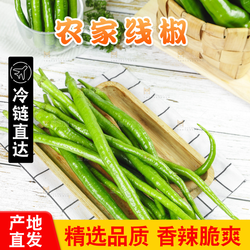 线椒
