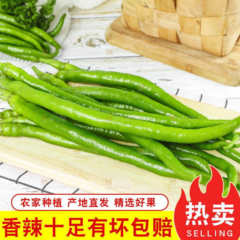 线椒