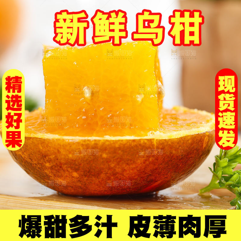 乌柑