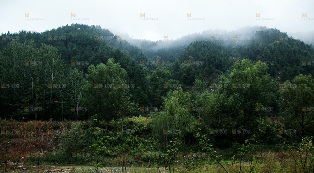深山风景 云海