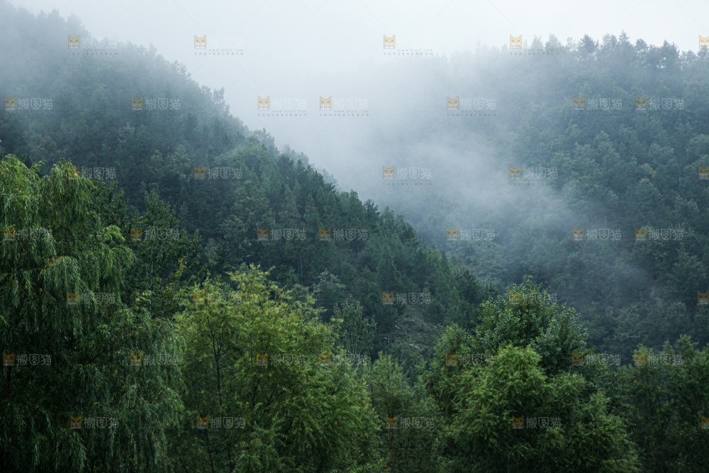 深山风景 云海