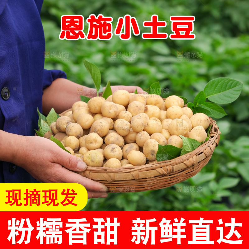 现挖小土豆