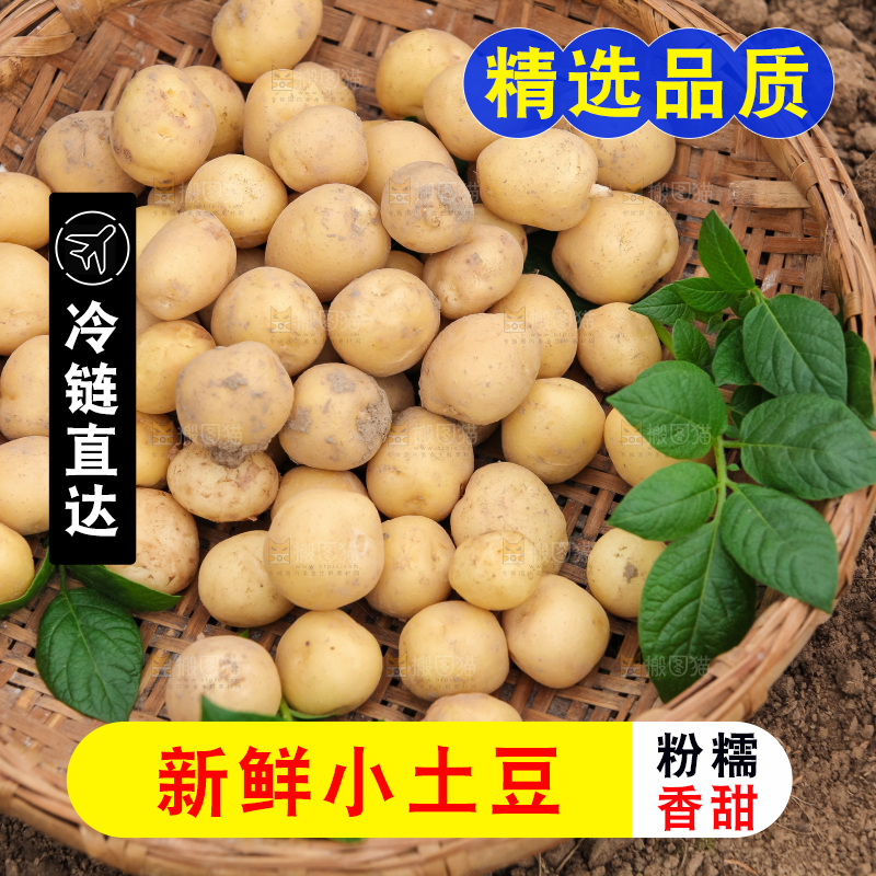 现挖小土豆