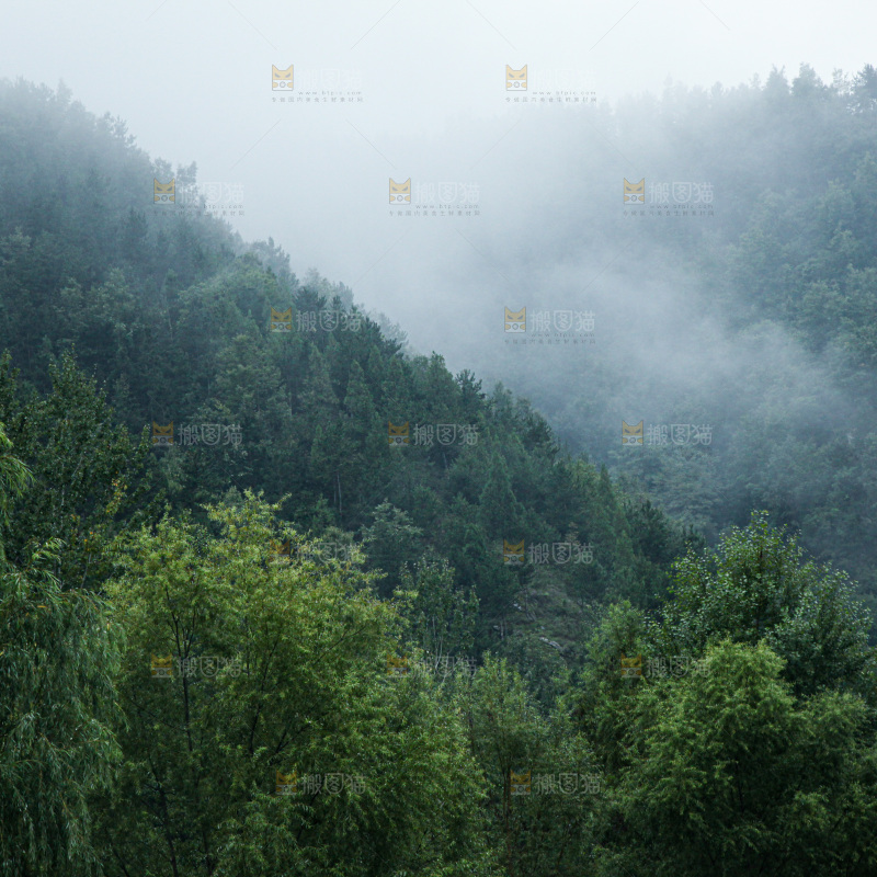 深山风景 云海