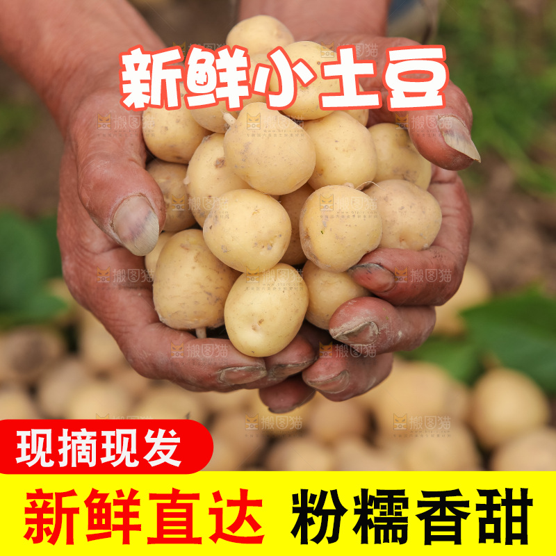 现挖小土豆