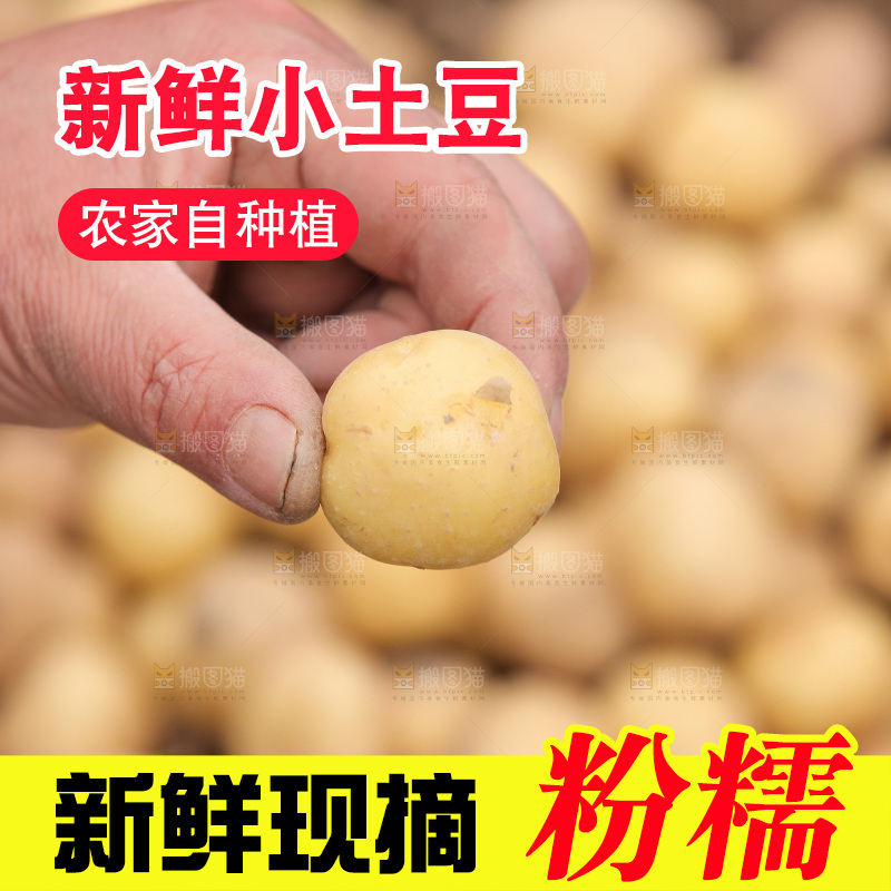 现挖小土豆