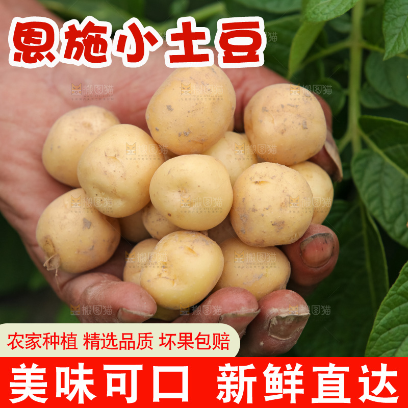 现挖小土豆