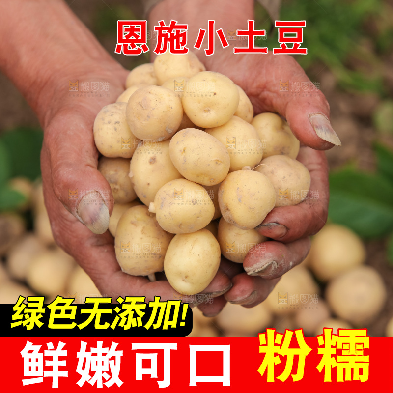 现挖小土豆