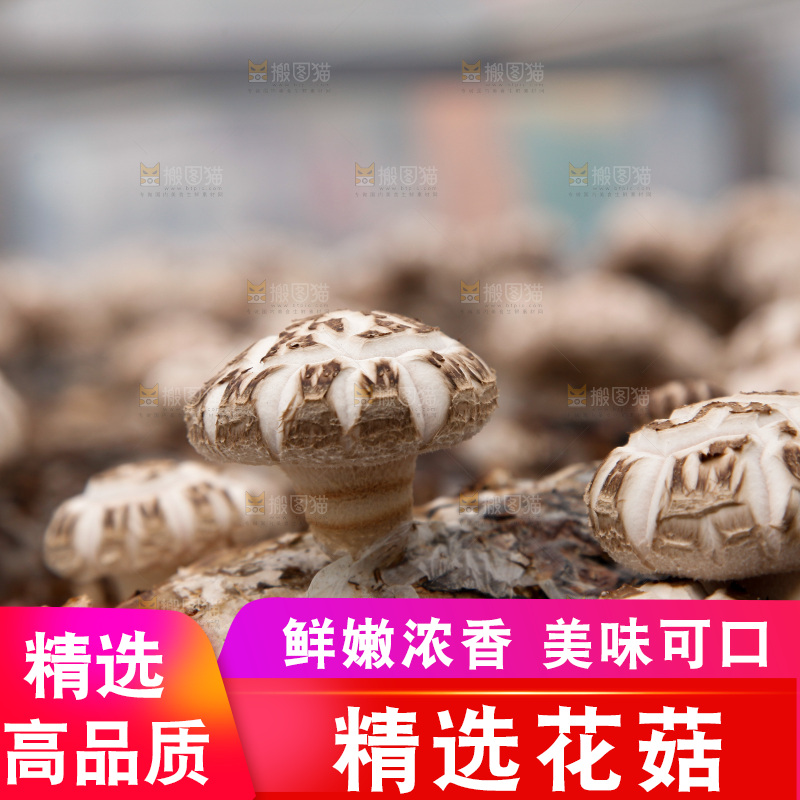 花菇 香菇