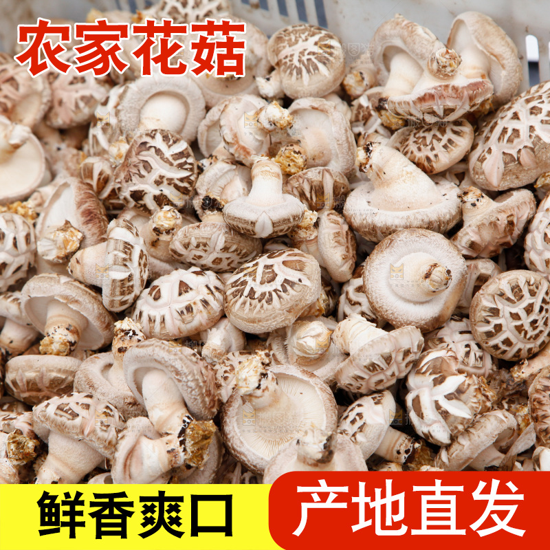花菇 香菇