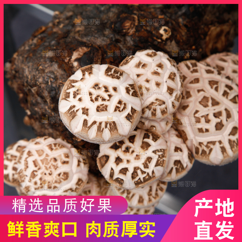 花菇 香菇
