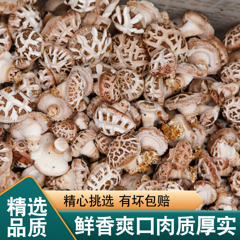 花菇 香菇