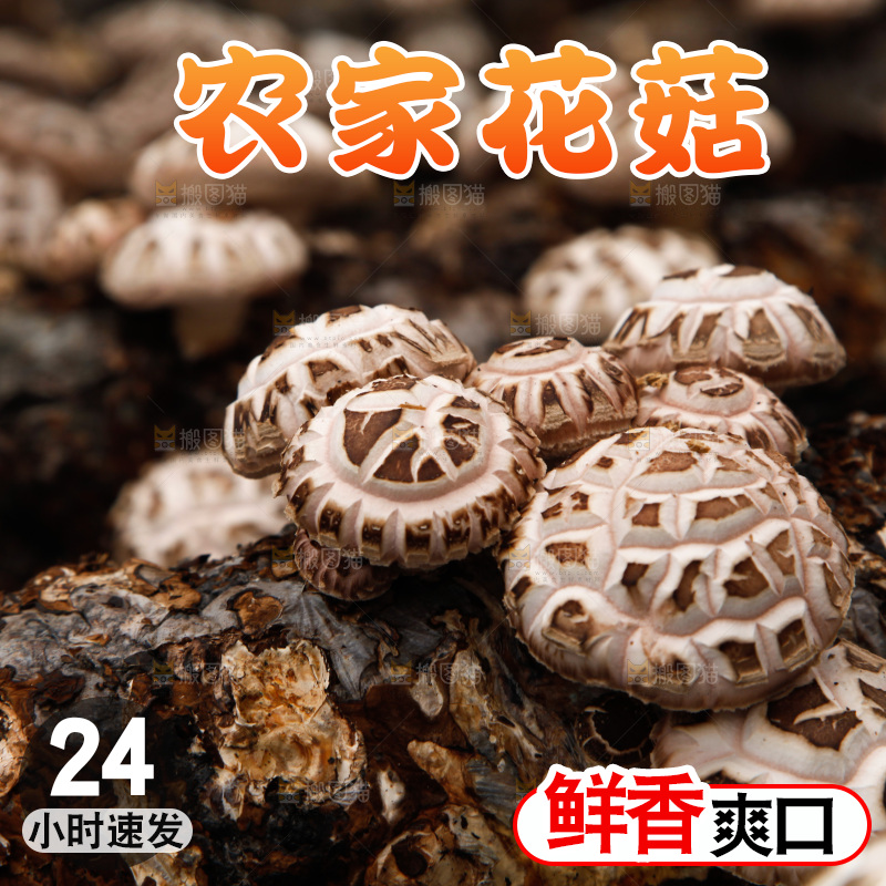 花菇 香菇