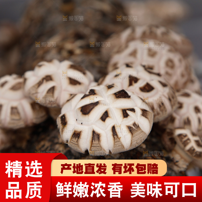 花菇 香菇