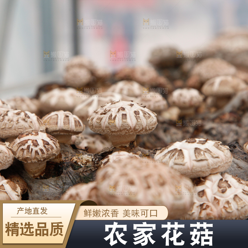 花菇 香菇