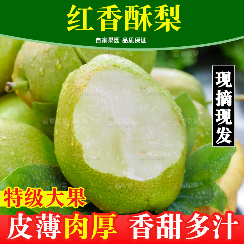 红香酥梨