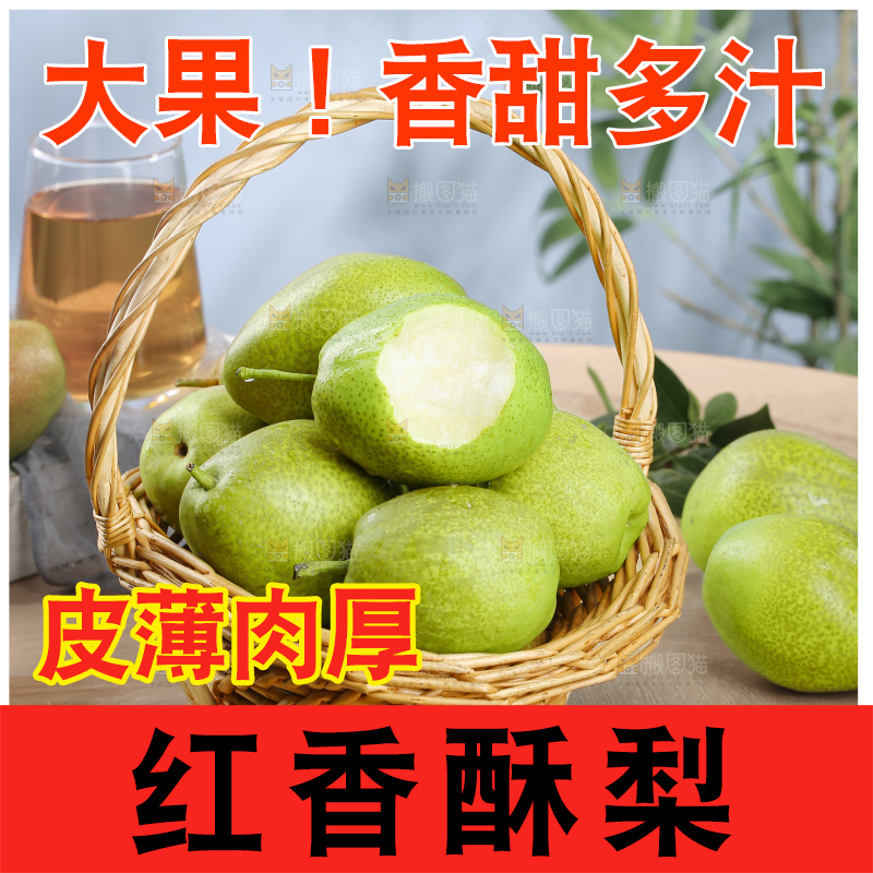 红香酥梨