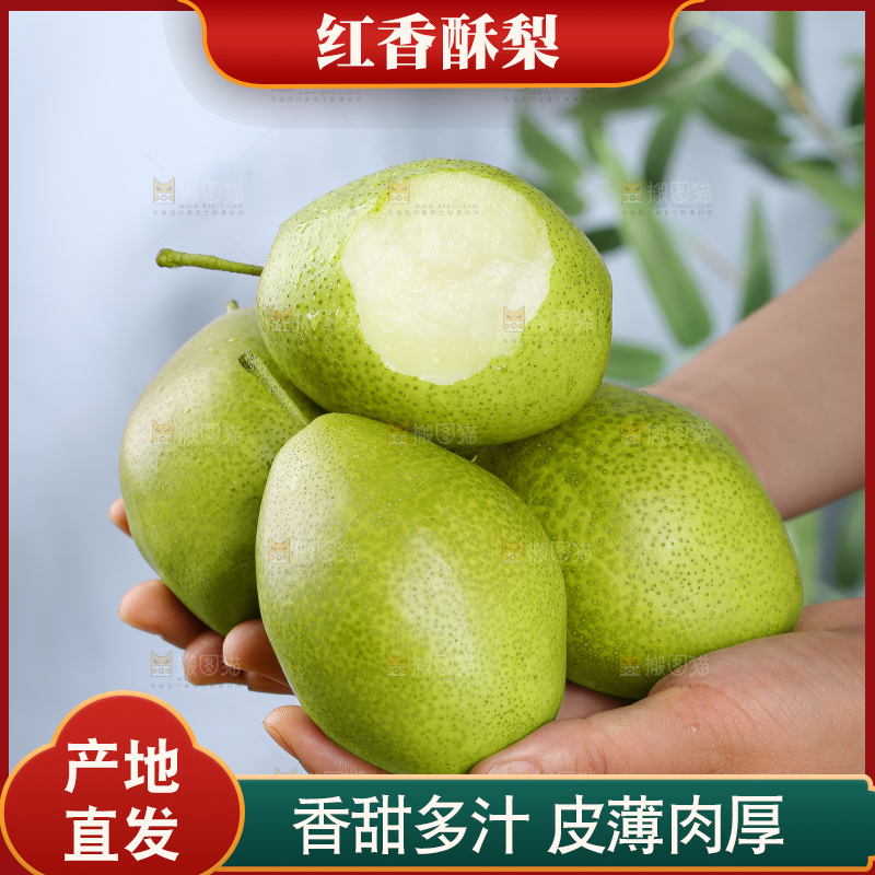 红香酥梨