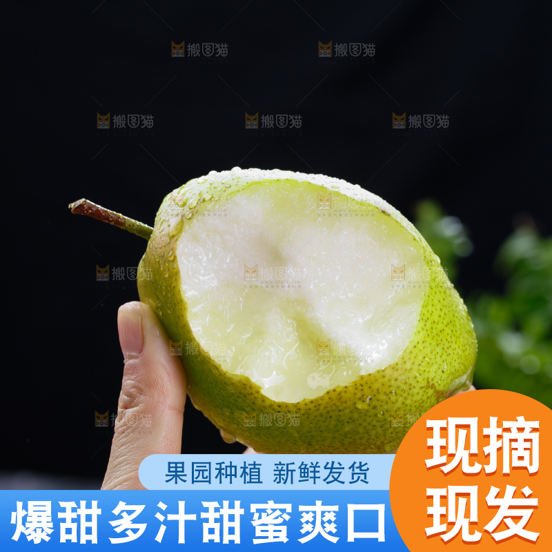 红香酥梨