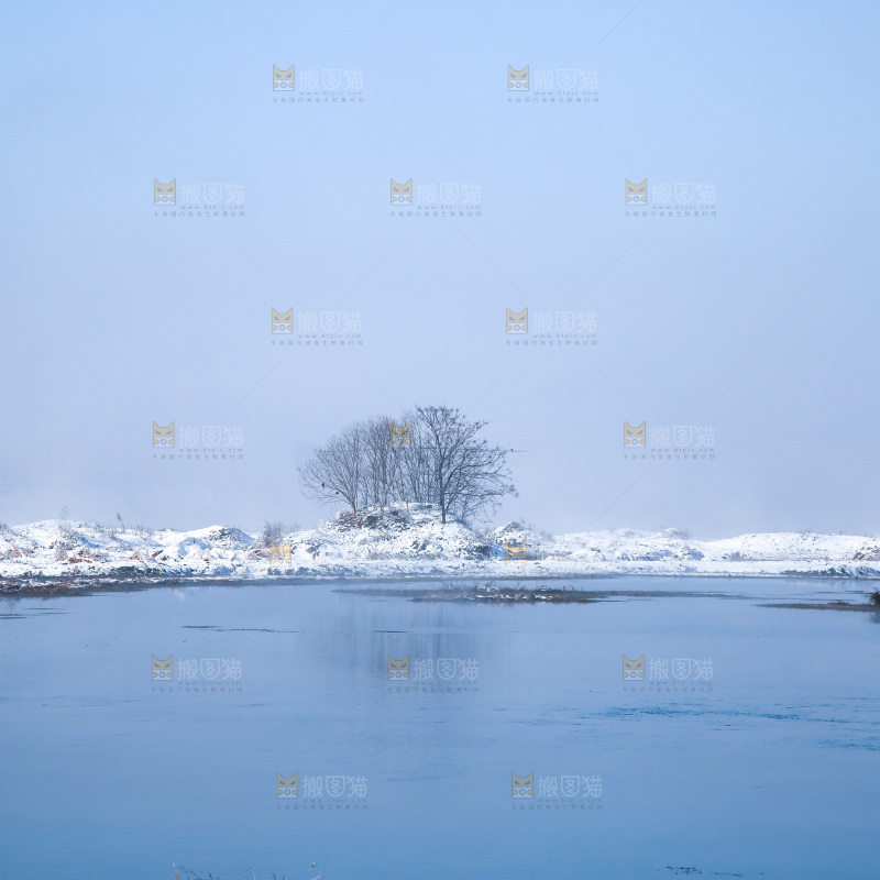 雪景