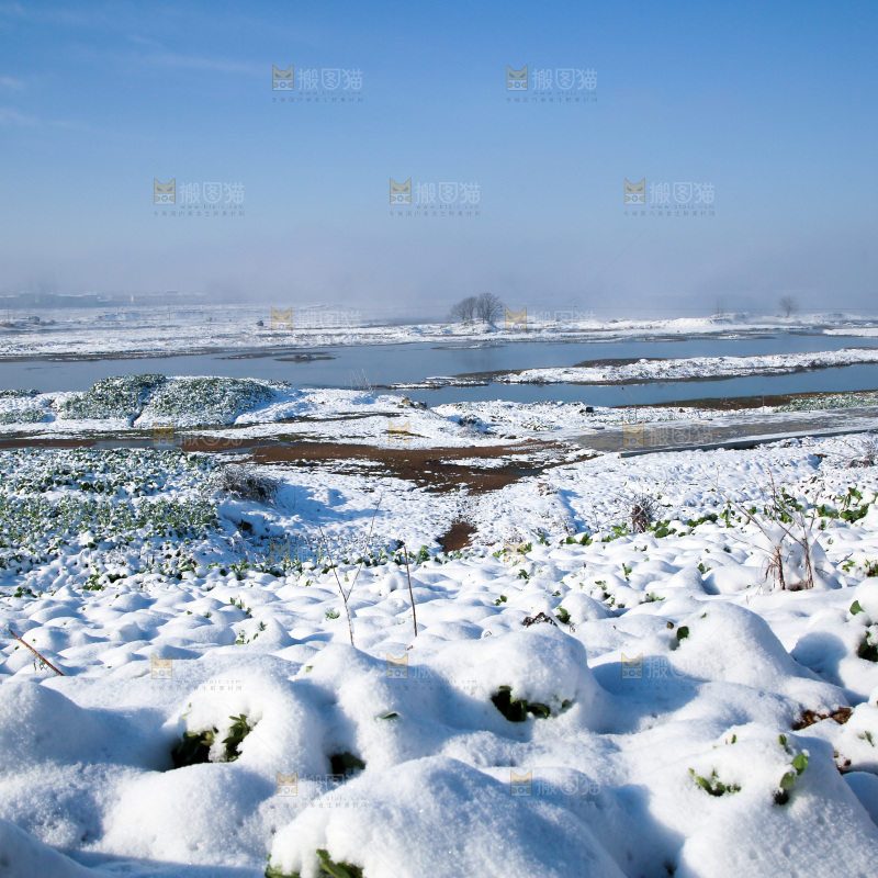 雪景