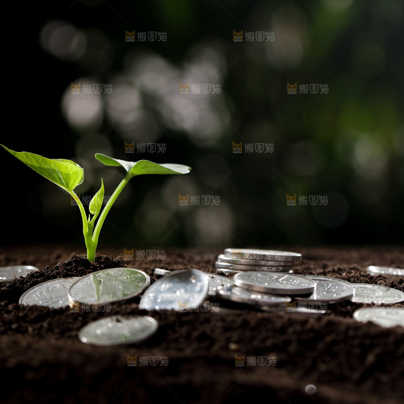 理财金融生长