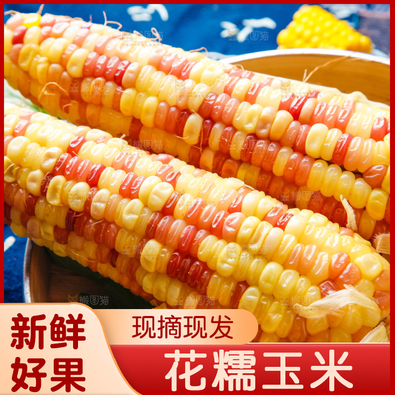 花糯玉米
