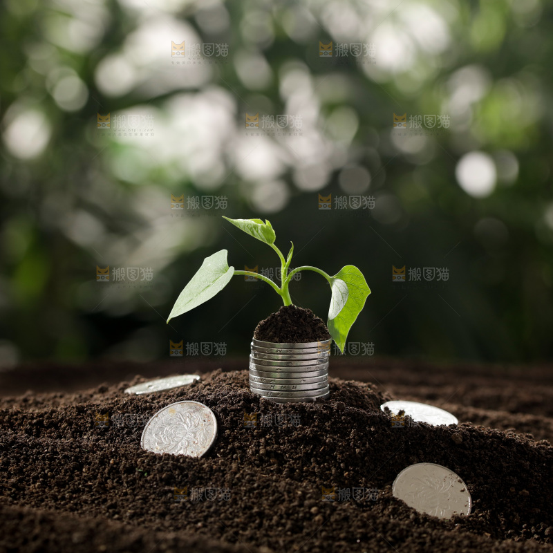 理财金融生长