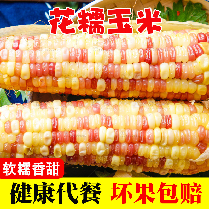 花糯玉米