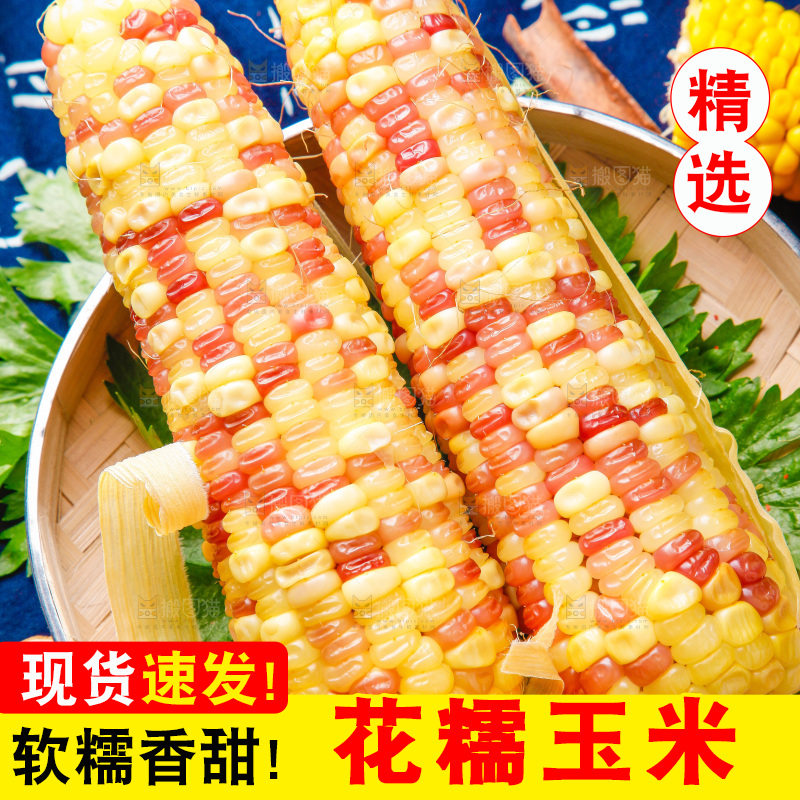花糯玉米