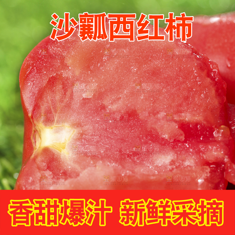西红柿