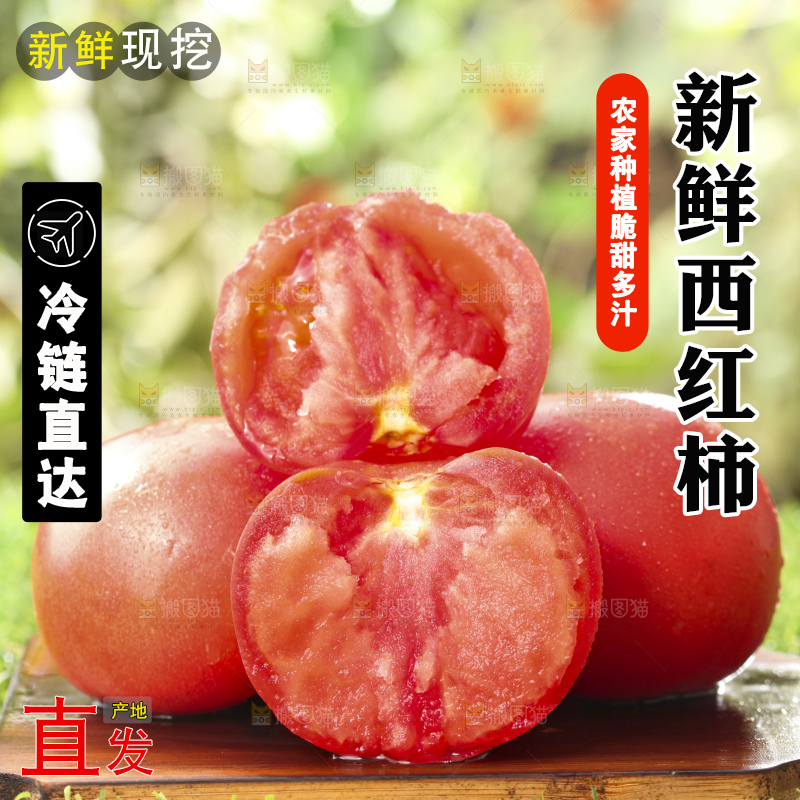 西红柿