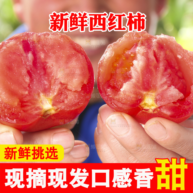 西红柿