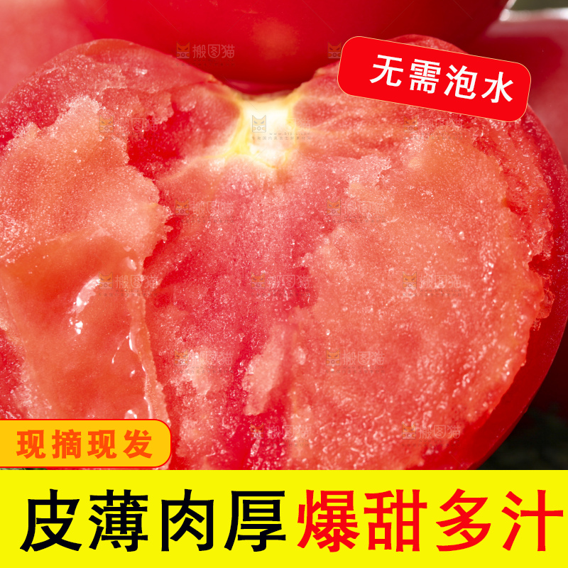 西红柿