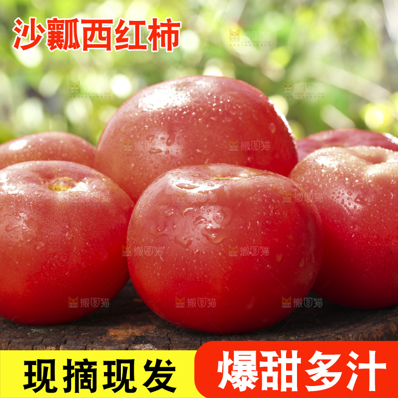西红柿