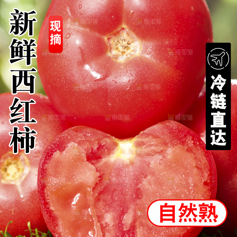 西红柿