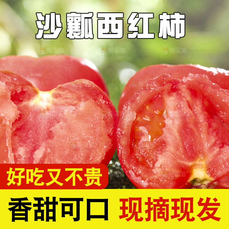 西红柿