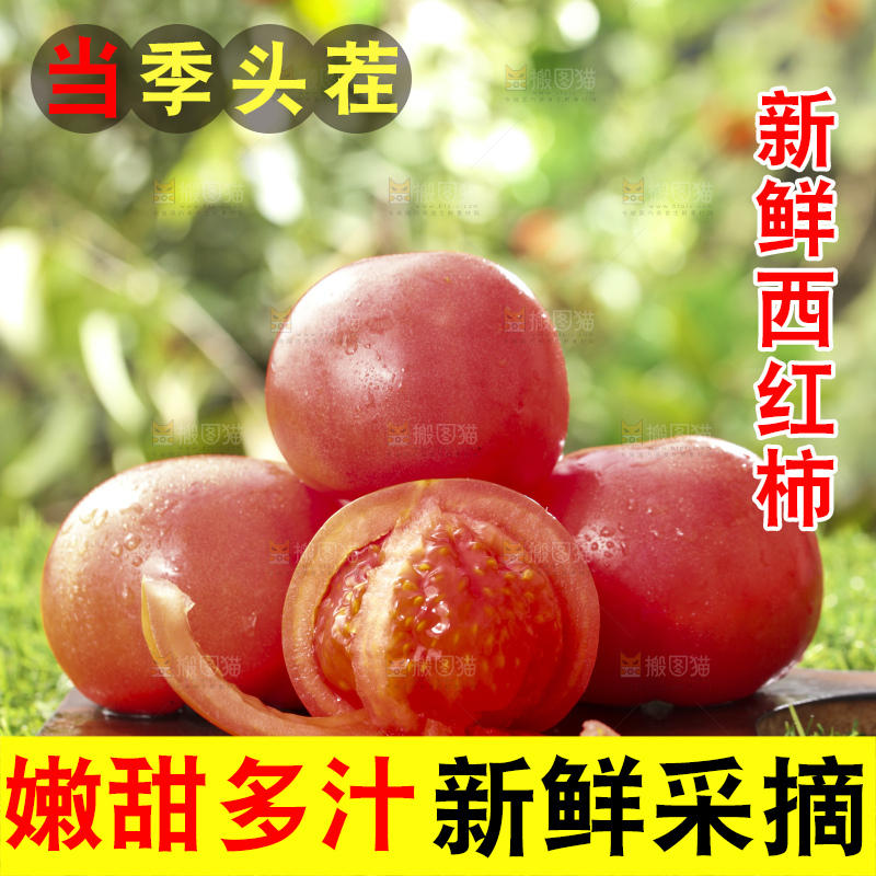 西红柿