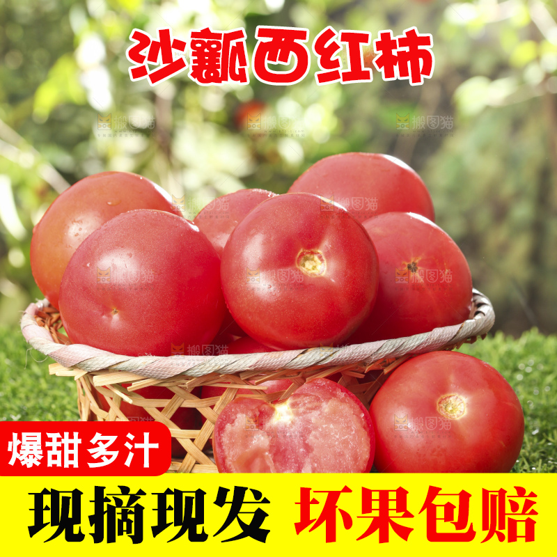 西红柿