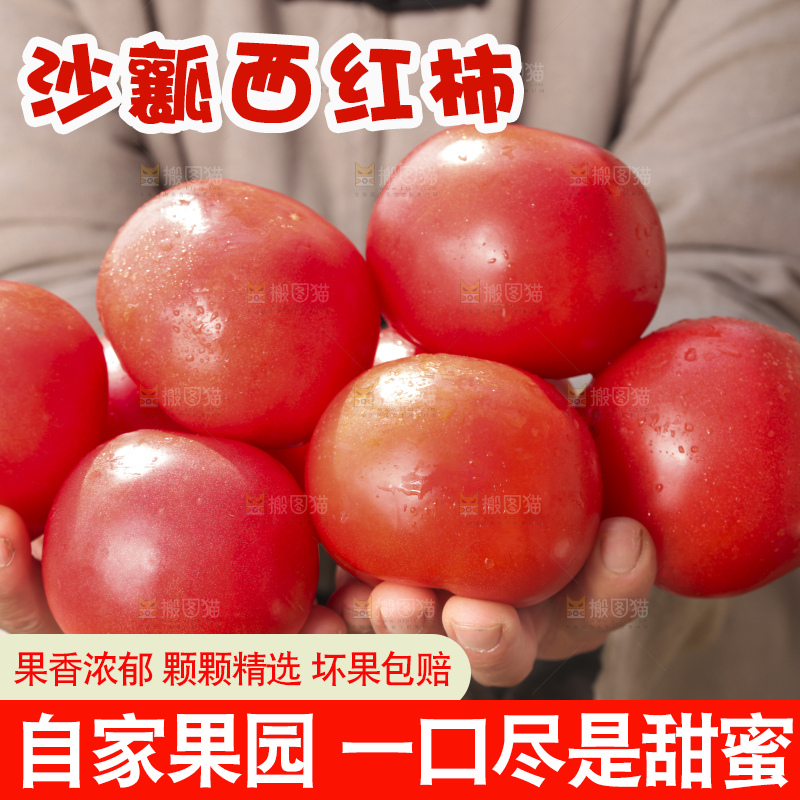 西红柿