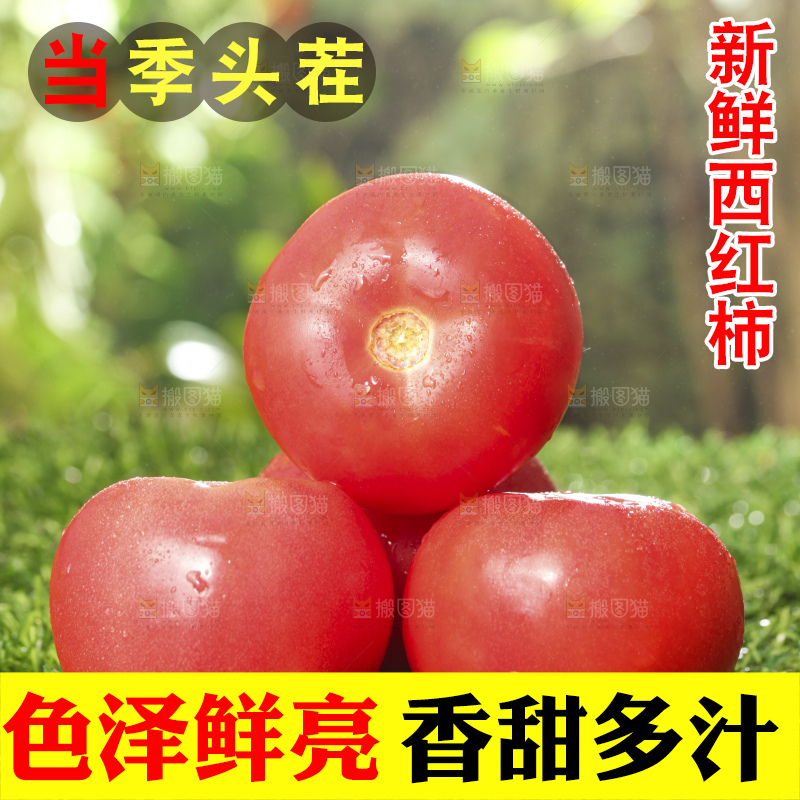 西红柿