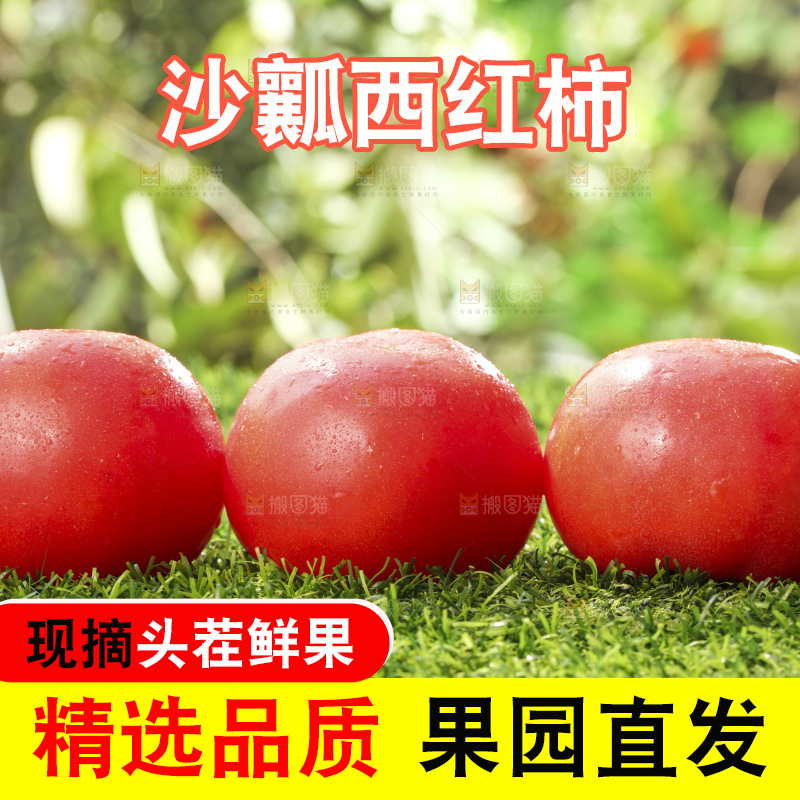 西红柿