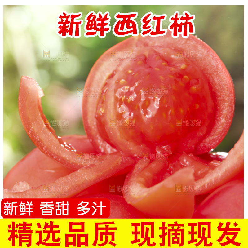 西红柿