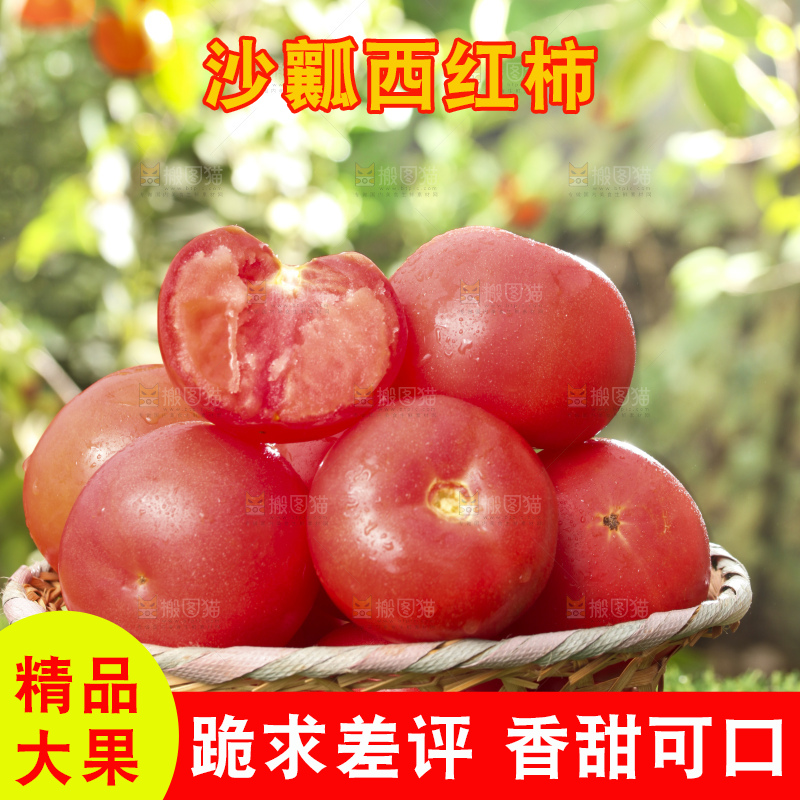 西红柿
