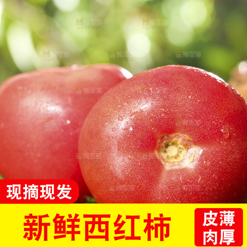 西红柿